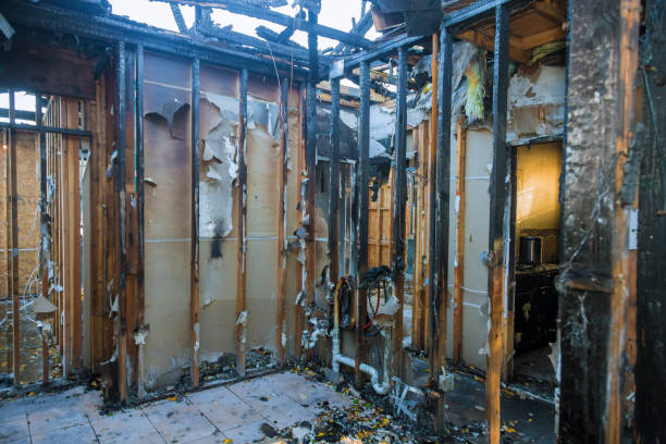 Professional Fire Damage Removal technician working in Glenelg, MD